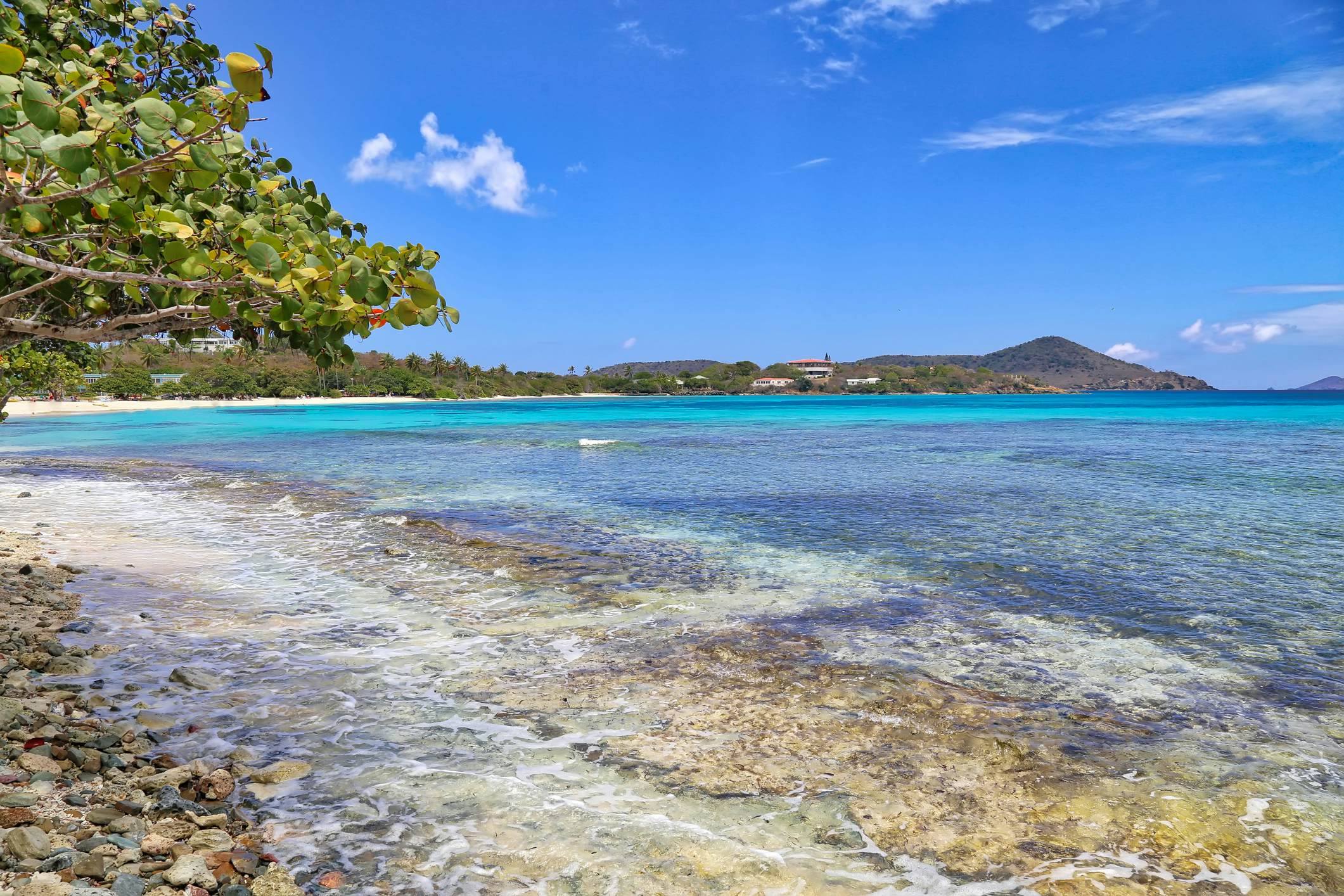 The 7 best beaches in St Thomas, US Virgin Islands Lonely